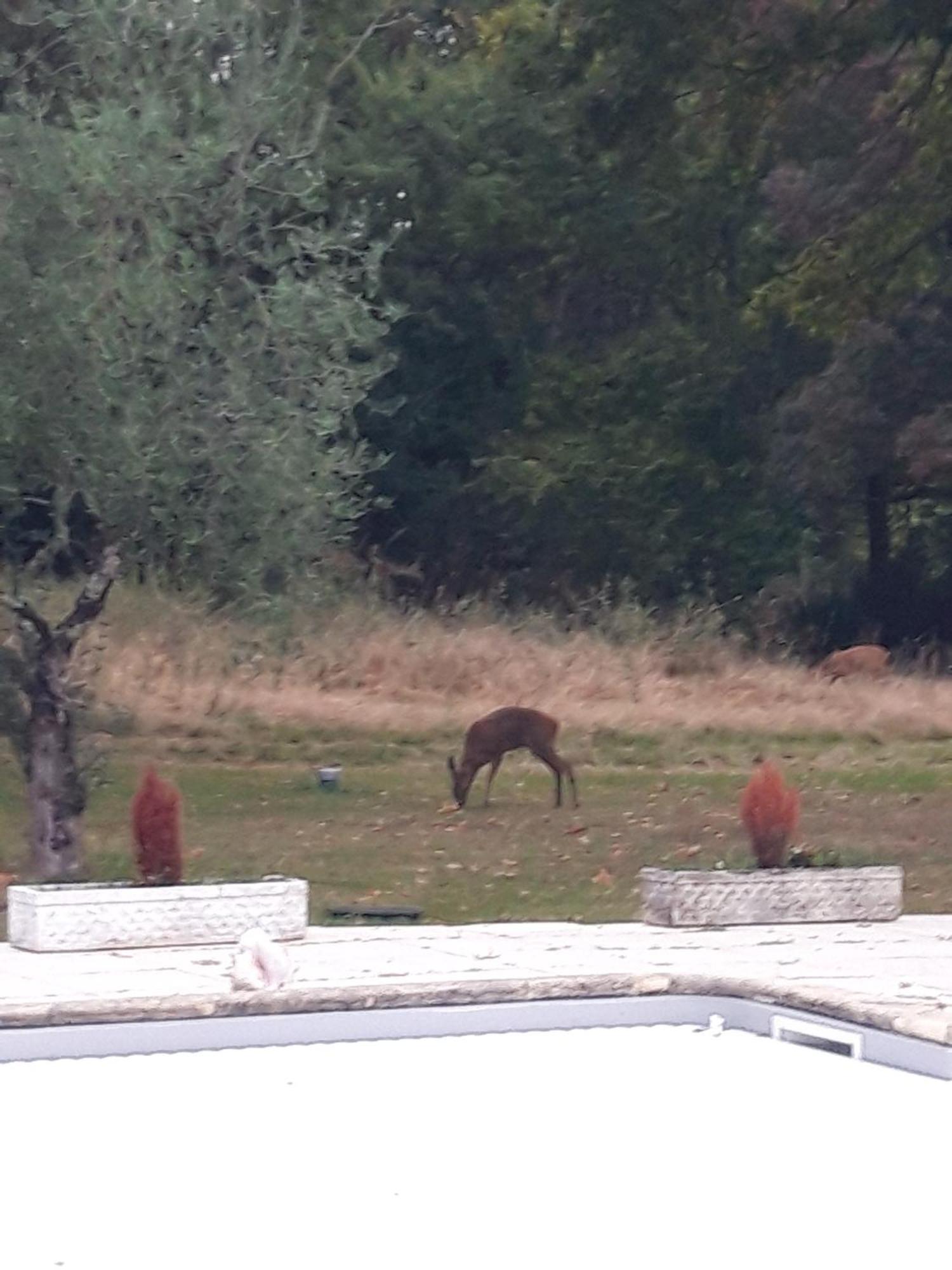 Domaine Fontcouverte Ξενοδοχείο Fontcouverte  Εξωτερικό φωτογραφία
