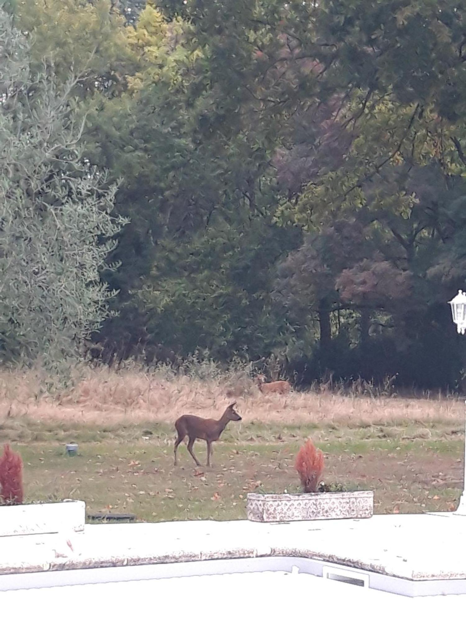 Domaine Fontcouverte Ξενοδοχείο Fontcouverte  Εξωτερικό φωτογραφία